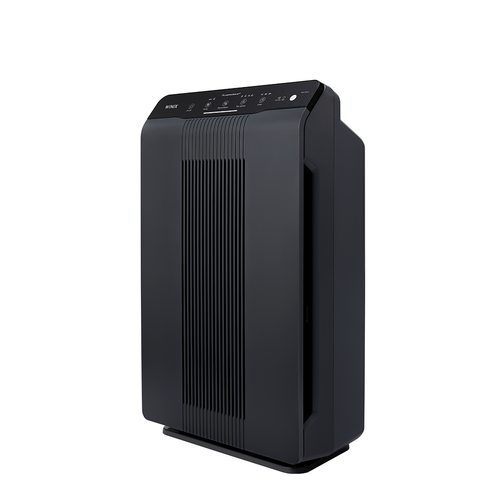WINIX 5500-2