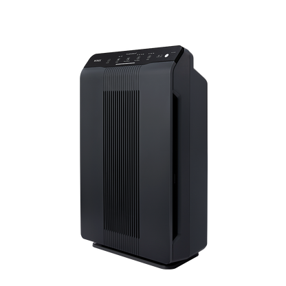 WINIX 5500-2