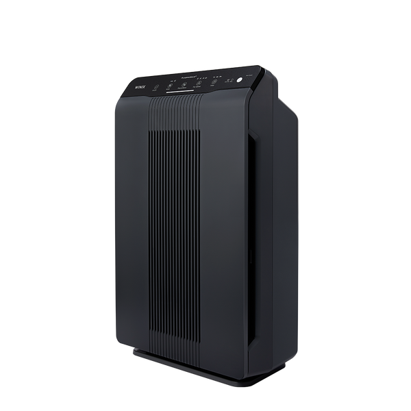 WINIX 5500-2
