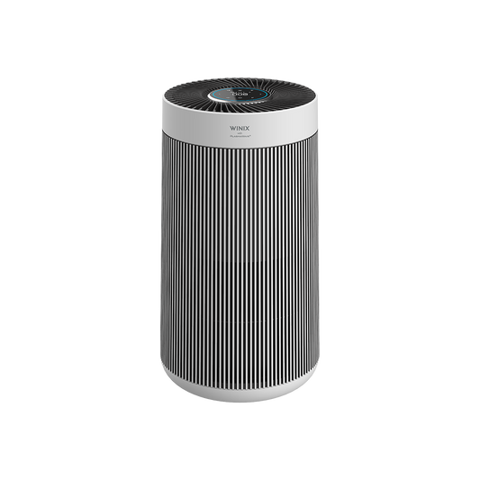 WINIX T810
